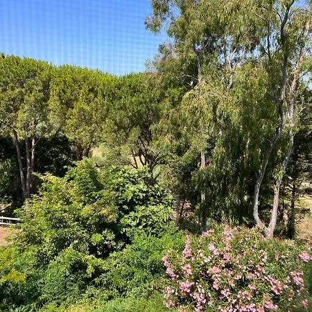 Podere Orzale Hospitality & Quarter Horses