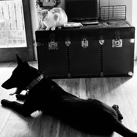 Podere Orzale Hospitality & Quarter Horses ベッド・アンド・ブレックファスト