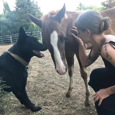 Podere Orzale Hospitality & Quarter Horses ベッド・アンド・ブレックファスト