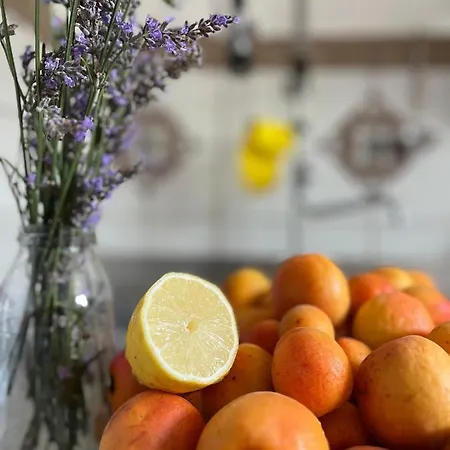 Podere Orzale Hospitality & Quarter Horses 3* Usigliano