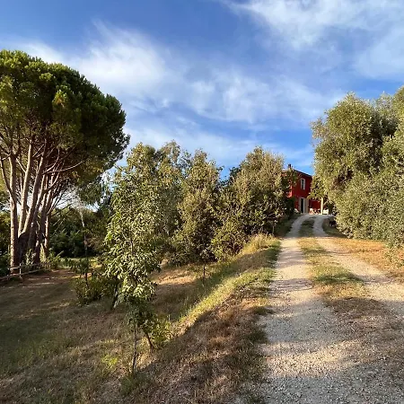 Podere Orzale Hospitality & Quarter Horses