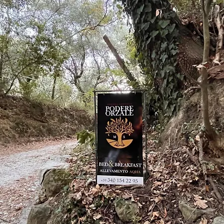 Podere Orzale Hospitality & Quarter Horses Bed & Breakfast