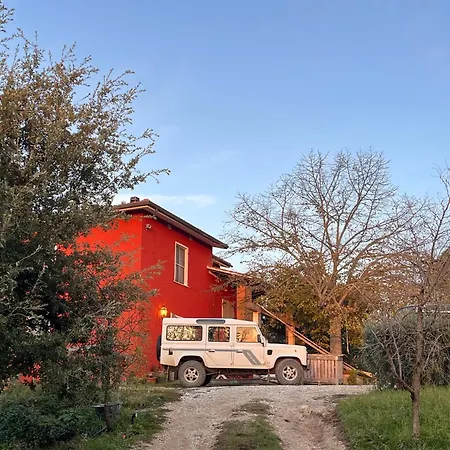 Podere Orzale Hospitality & Quarter Horses