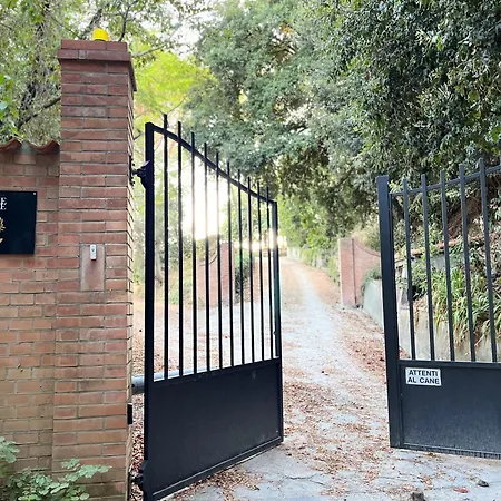 Podere Orzale Hospitality & Quarter Horses Usigliano