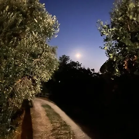 Podere Orzale Hospitality & Quarter Horses 3* Usigliano