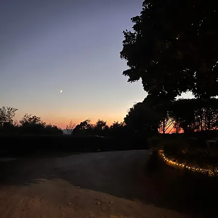Podere Orzale Hospitality & Quarter Horses Bed & Breakfast *