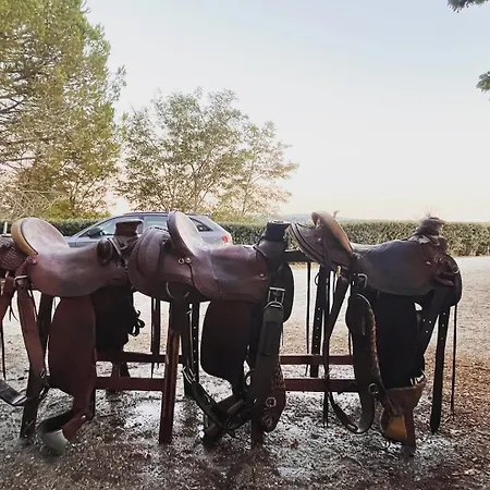 Podere Orzale Hospitality & Quarter Horses ベッド・アンド・ブレックファスト 3*