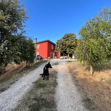 Podere Orzale Hospitality & Quarter Horses