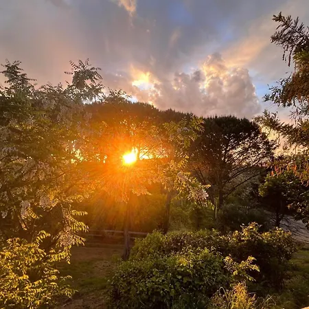 Podere Orzale Hospitality & Quarter Horses Bed & Breakfast *