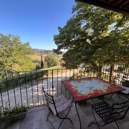 Podere Orzale Hospitality & Quarter Horses *