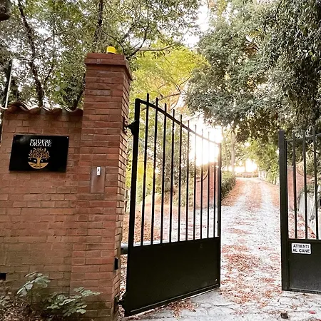 Podere Orzale Hospitality & Quarter Horses *