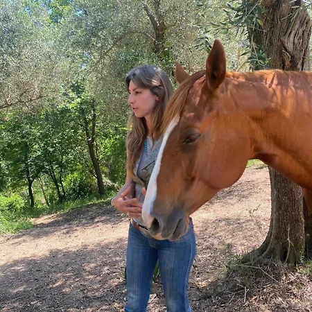 Podere Orzale Hospitality & Quarter Horses Usigliano