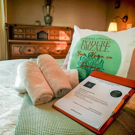 ベッド・アンド・ブレックファスト Podere Orzale Hospitality & Quarter Horses Usigliano