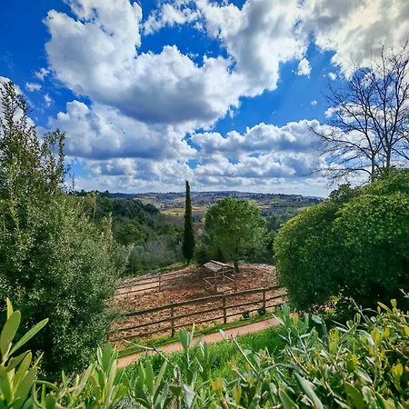 Podere Orzale Hospitality & Quarter Horses Bed & Breakfast Usigliano
