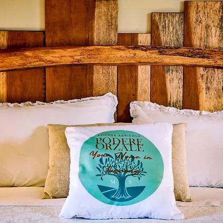 Podere Orzale Hospitality & Quarter Horses Bed & Breakfast Usigliano