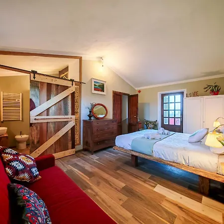 Podere Orzale Hospitality & Quarter Horses Bed & Breakfast Usigliano
