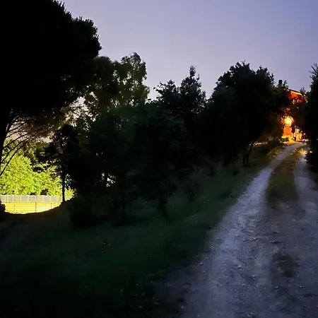 Bed & Breakfast Podere Orzale Hospitality & Quarter Horses