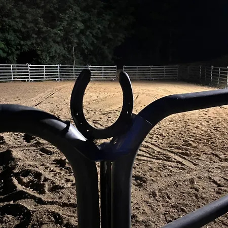 Podere Orzale Hospitality & Quarter Horses Bed & Breakfast *