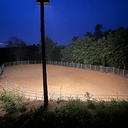 Podere Orzale Hospitality & Quarter Horses